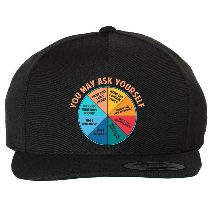 You May Ask Yourself Once In A Lifetime Pie Chart Wool Snapback Cap