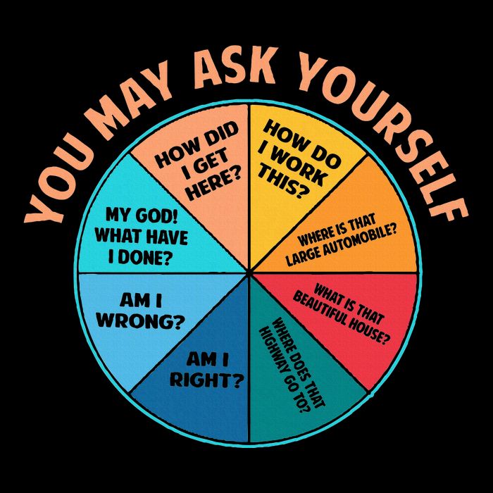 You May Ask Yourself Once In A Lifetime Pie Chart Wool Snapback Cap