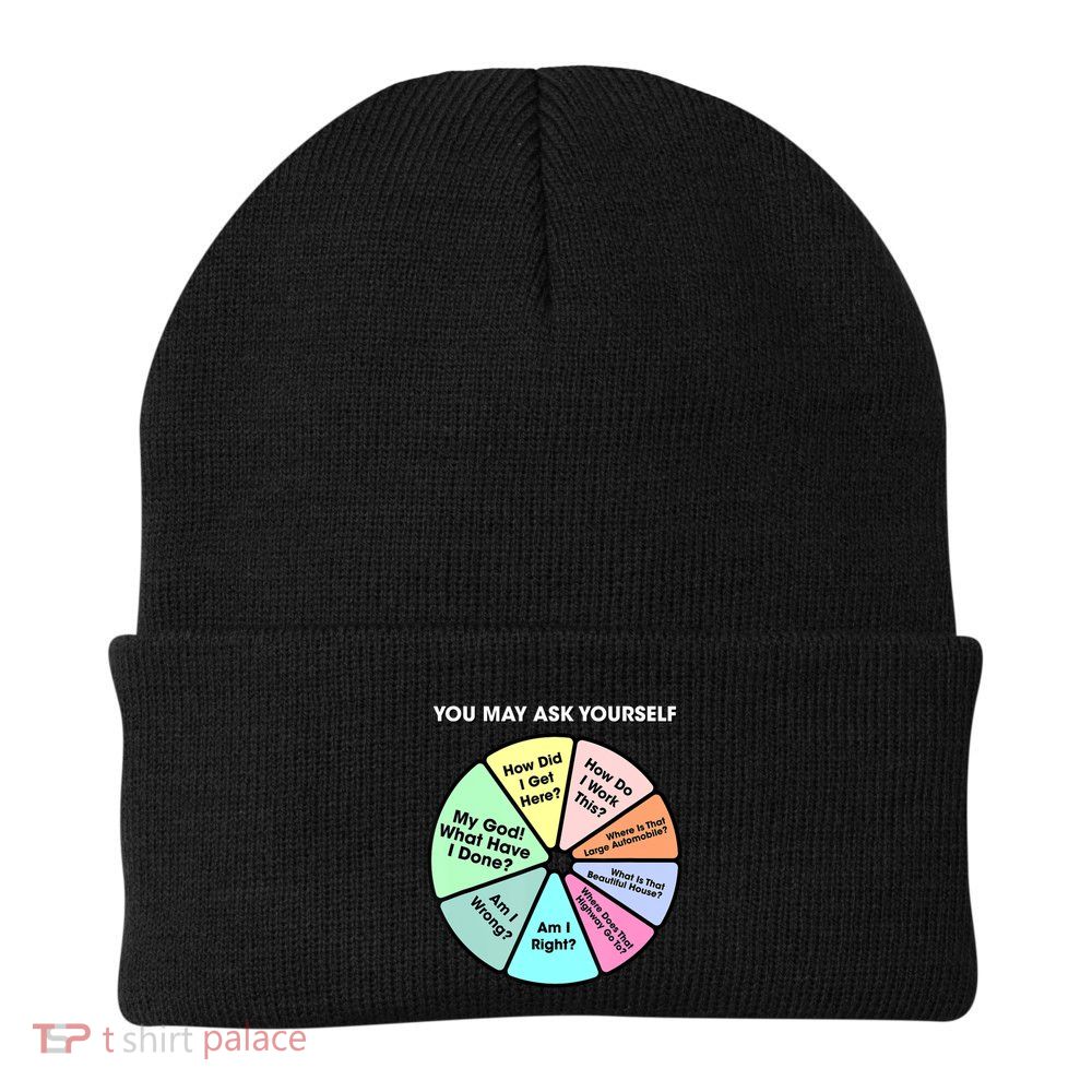 You May Ask Yourself Classic 80S Pop Music Retro Pie Chart Beanie