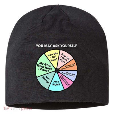 You May Ask Yourself Classic 80S Pop Music Retro Pie Chart Sustainable Beanie