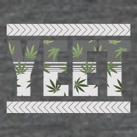 Yeet Meme Cannabis Leaf Pattern Poster