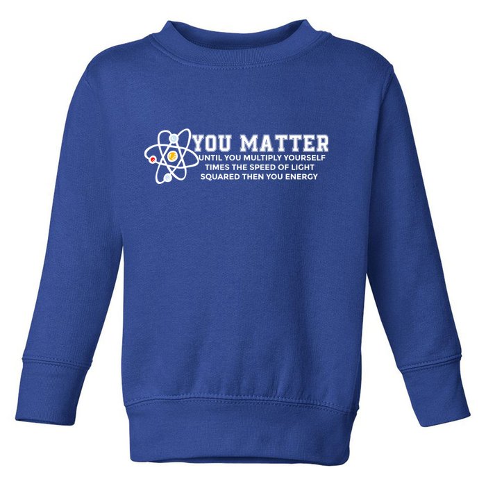 You Matter Energy Physicist Funny Physics Geek Nerd Gift Toddler Sweatshirt