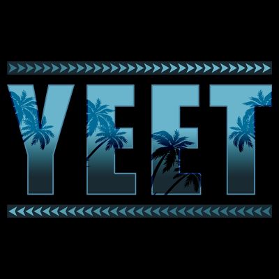 Cool Yeet Meme T-Shirt