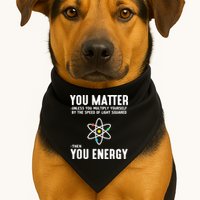 You Matter Unless You Multiply Yourself By The Speed Of Light Squared Then You Energy USA-Made Doggie Bandana