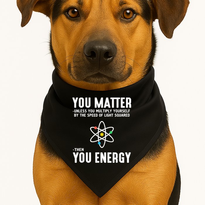 You Matter Unless You Multiply Yourself By The Speed Of Light Squared Then You Energy USA-Made Doggie Bandana