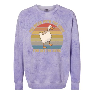 You Mess With The Honk You Get The Bonk Funny Retro Vintage Goose Colorblast Crewneck Sweatshirt