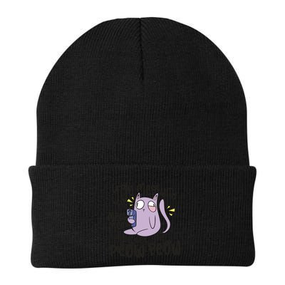 You Mess With The Meow Funny Cat Beanie