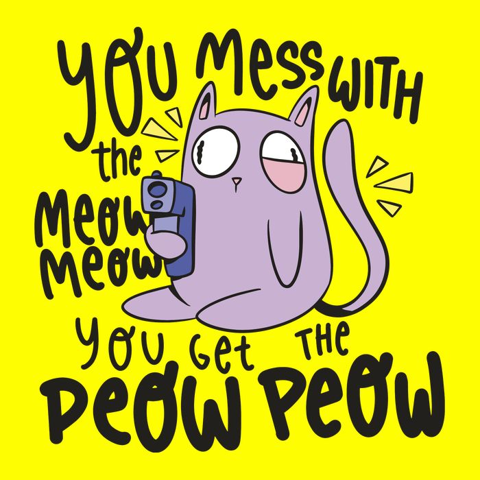 You Mess With The Meow Funny Cat Kids T-Shirt