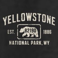 Yellowstone National Park Grizzly Bear Zip Code Wyoming Adult Drive Performance Visor