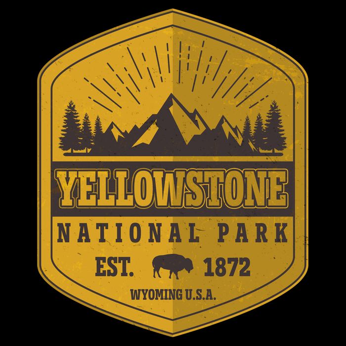Yellowstone National Park Est 1872 Wyoming USA Gold Emblem Wool Snapback Cap