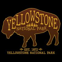 Yellowstone National Park EST 1872 Buffalo Logo Flatbill Hat