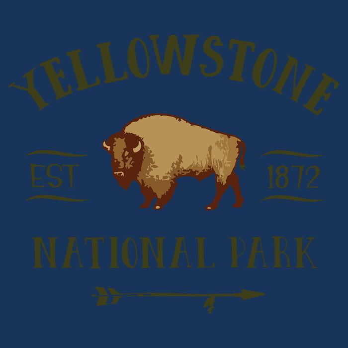 YELLOWSTONE NATIONAL PARK Bison Buffalo Men Women Souvenir Flatbill Hat