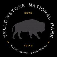 Yellowstone National Park Retro Vintage Graphic Womens T-Shirt