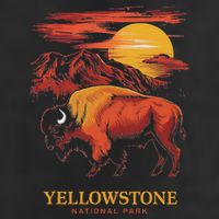 Yellowstone National Park Sun Bison Graphic 7 Panel Mesh Trucker Snapback Hat