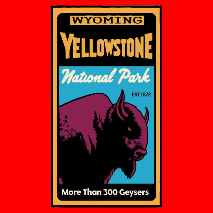 Yellowstone National Park Bison Hoodie