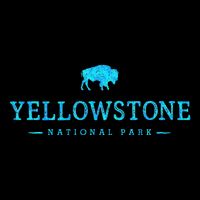 Yellowstone National Park Colorful Buffalo Womens Tank Top