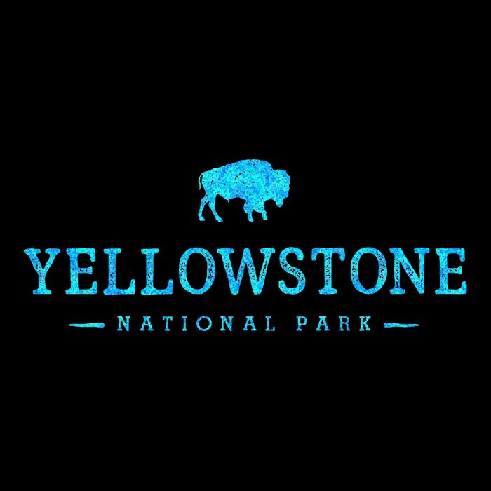 Yellowstone National Park Colorful Buffalo Womens Tank Top