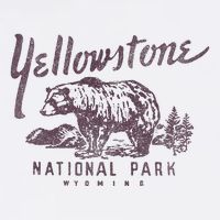 Yellowstone National Park Bear Graphic Visor
