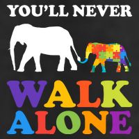 Youll Never Walk Alone Autism Awareness Elephant 7 Panel Mesh Trucker Snapback Hat