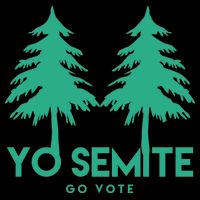 Yo Semite Go Vote Anti Trump Sweatshirt