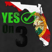 Yes On 3 Florida 25L Jumbo Tote