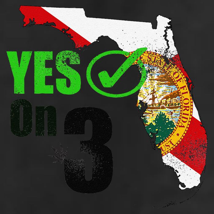 Yes On 3 Florida 25L Jumbo Tote