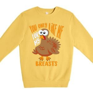 You Only Like Me For My Breasts Thanksgiving Cute Gift Premium Crewneck Sweatshirt