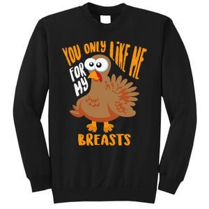 You Only Like Me For My Breasts Thanksgiving Cute Gift Sweatshirt