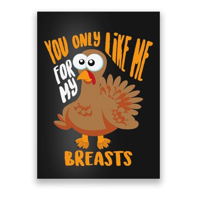 You Only Like Me For My Breasts Thanksgiving Cute Gift Poster