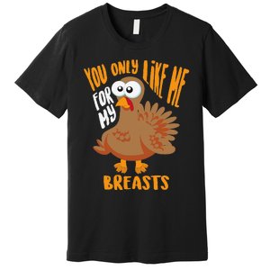 You Only Like Me For My Breasts Thanksgiving Cute Gift Premium T-Shirt