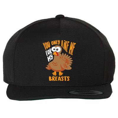 You Only Like Me For My Breasts Thanksgiving Cute Gift Wool Snapback Cap