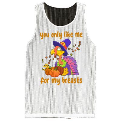 You Only Like Me For My Breasts Funny Thanksgiving Turkey Mesh Reversible Basketball Jersey Tank