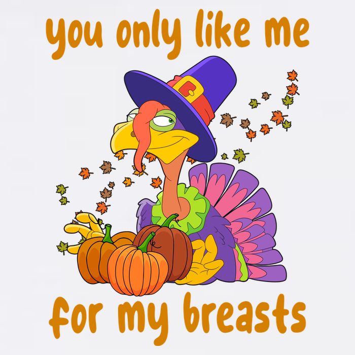 You Only Like Me For My Breasts Funny Thanksgiving Turkey Kids T-Shirt