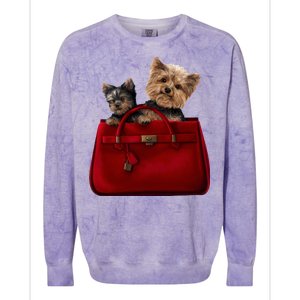 Yorki Dogs in Bag Colorblast Crewneck Sweatshirt