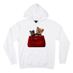 Yorki Dogs in Bag Hoodie