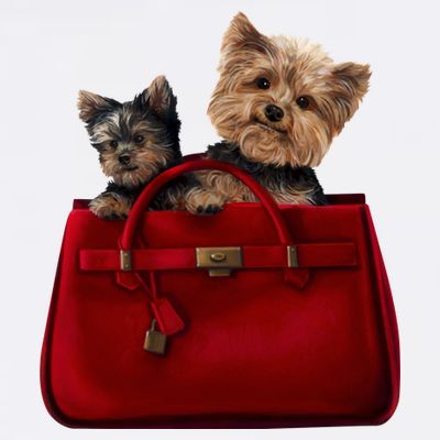 Yorki Dogs in Bag T-Shirt