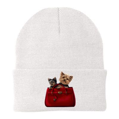 Yorki Dogs in Bag Knit Cap Winter Beanie