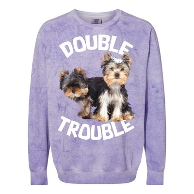 Yorkie Double Trouble Colorblast Crewneck Sweatshirt