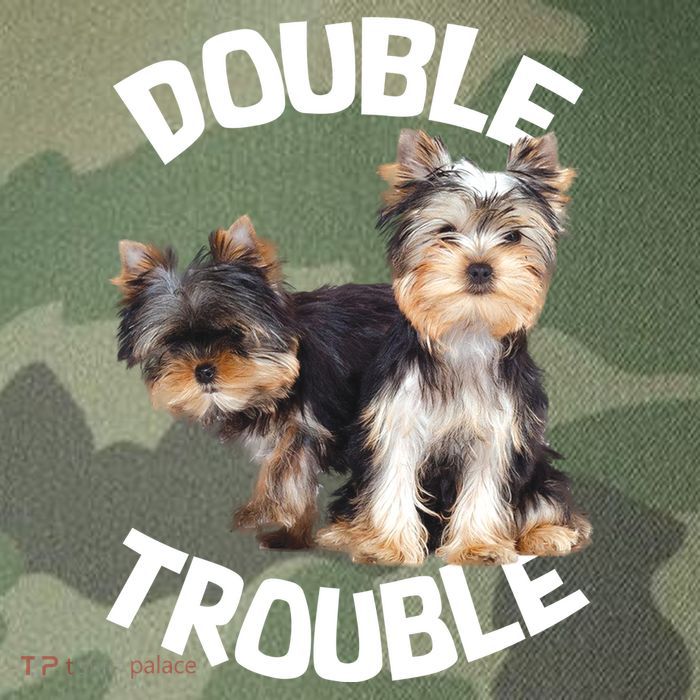 Yorkie Double Trouble Legacy Tie Dye Trucker Hat