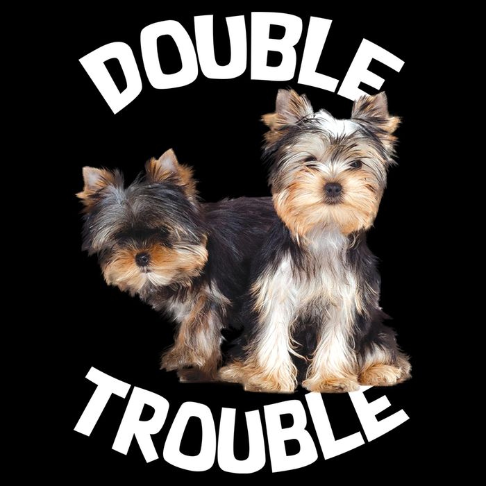 Yorkie Double Trouble Impact Tech Backpack