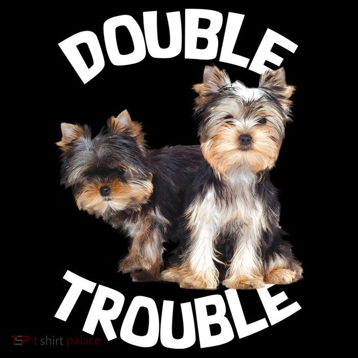 Yorkie Double Trouble Bucket Hat