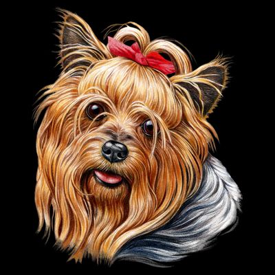 Yorkie Girl T-Shirt