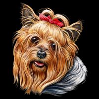 Yorkie Girl T-Shirt