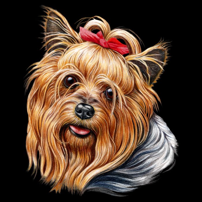 Yorkie Girl T-Shirt