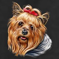 Yorkie Girl 11oz C Handle Ceramic Mug
