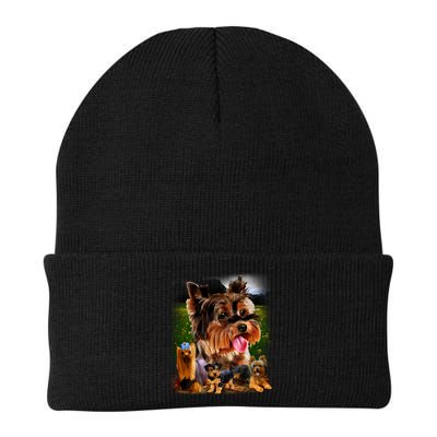 Yorkshire Terrier Beanie