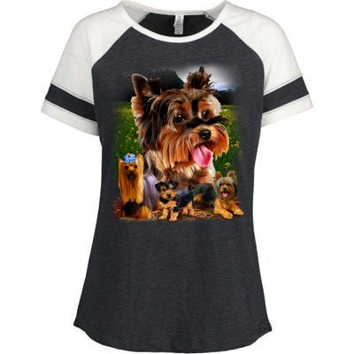 Yorkshire Terrier Enza Ladies Jersey Colorblock Tee