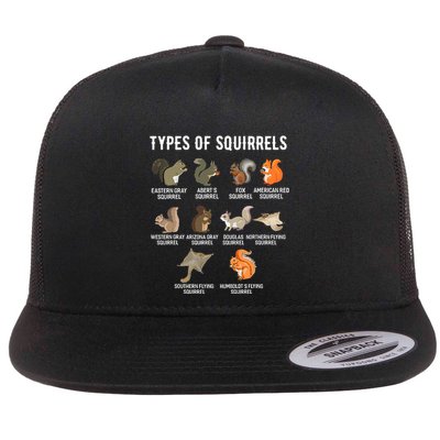 Ypes Of Squirrels Funny Squirrel Cute Squirrel Flat Bill Trucker Hat