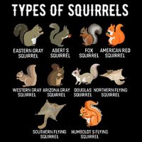 Ypes Of Squirrels Funny Squirrel Cute Squirrel Mousepad