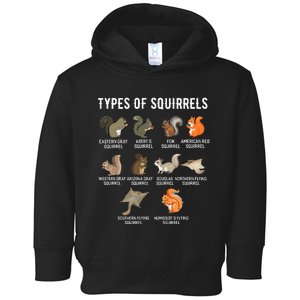 Ypes Of Squirrels Funny Squirrel Cute Squirrel Toddler Hoodie